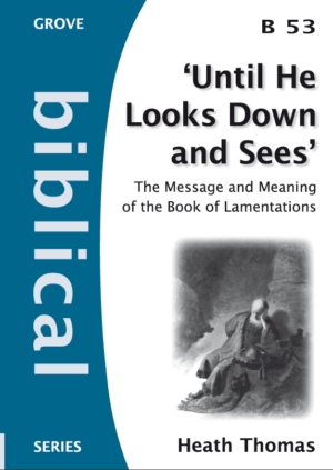 B 53 'Until He Looks  Down and Sees' The Message and Meaning of the Book of Lamentations (2009)